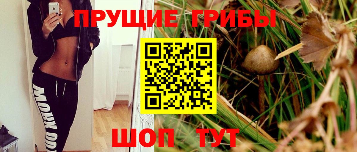 Канаш  где найти   Вход с VPN  Псилоцибиновые грибы Magic Shrooms 