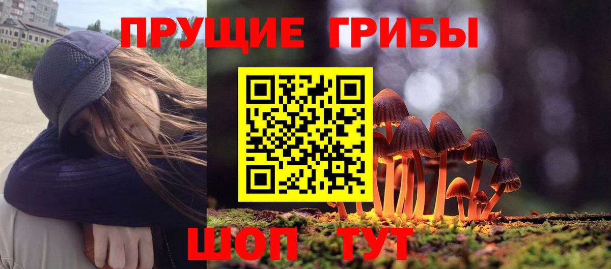 Псилоцибиновые грибы Psilocybe Канаш